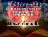 das zu meldende Bild