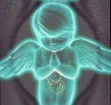 das zu meldende Bild