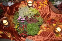 das zu löschende Bild