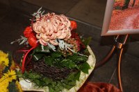 das zu meldende Bild